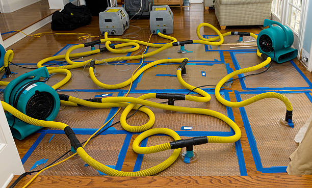 Professional Burst Pipe Water Damage technician working in Pingree, ND