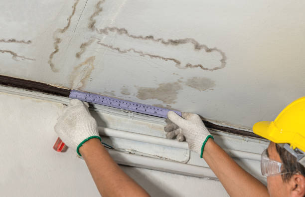 Affordable Burst Pipe Water Damage solutions in Pingree, ND